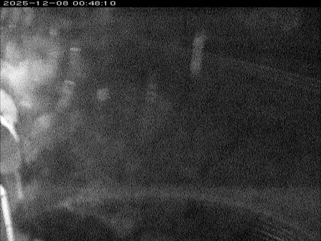 大路川６2025/12/08 11:30:00