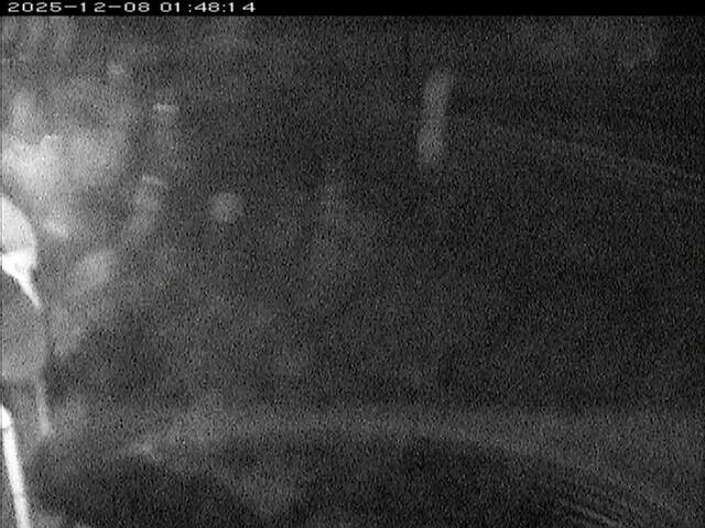 大路川６2025/12/08 11:30:00