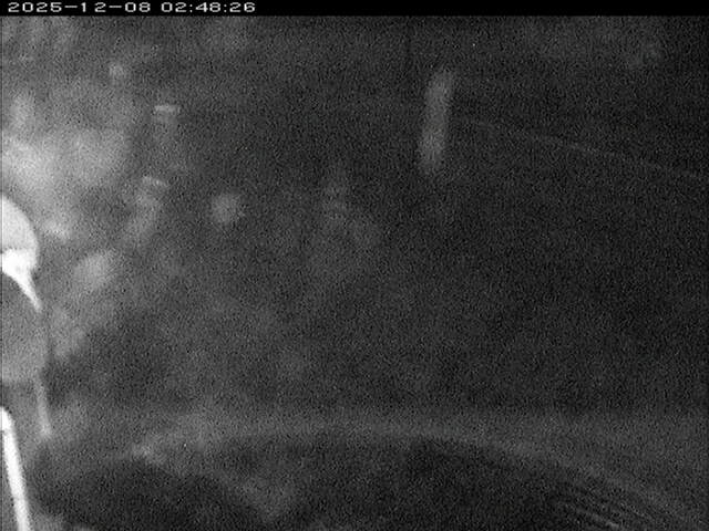 大路川６2025/12/08 11:30:00