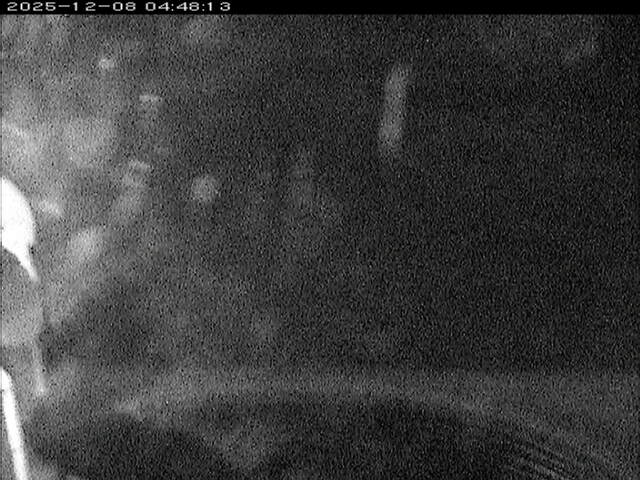 大路川６2025/12/08 11:30:00