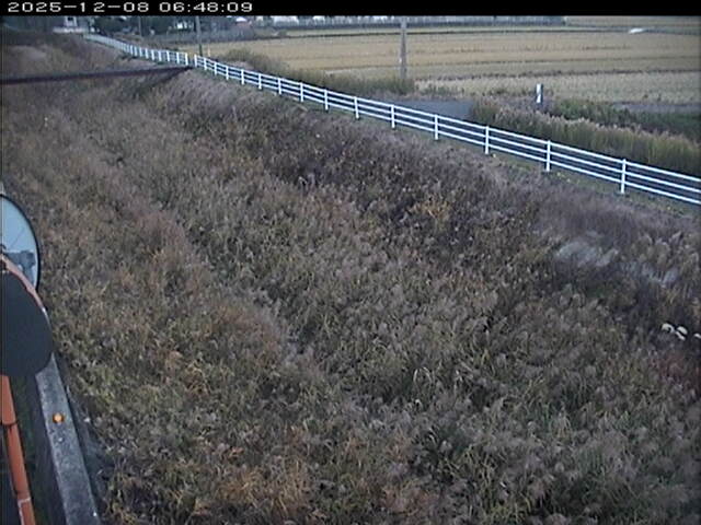 大路川６2025/12/08 11:30:00