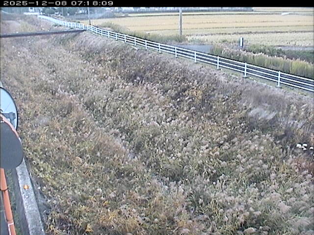 大路川６2025/12/08 11:30:00