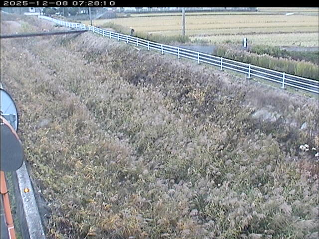 大路川６2025/12/08 11:30:00