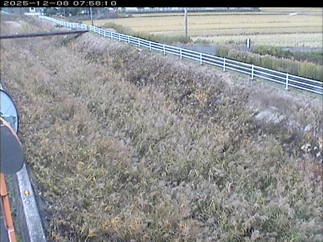 大路川６2025/12/08 11:30:00