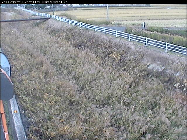 大路川６2025/12/08 11:30:00