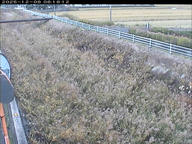 大路川６2025/12/08 11:30:00