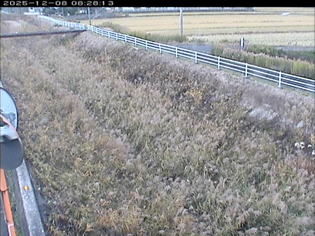 大路川６2025/12/08 11:30:00