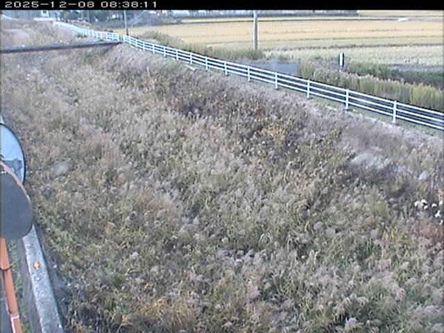 大路川６2025/12/08 11:30:00