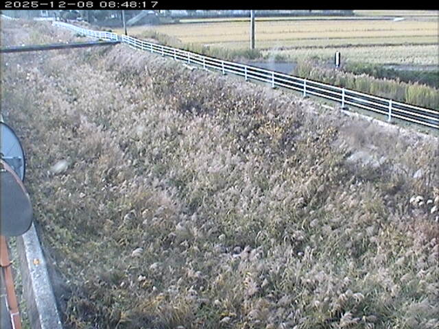 大路川６2025/12/08 11:30:00