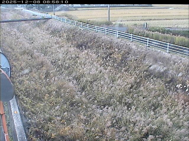 大路川６2025/12/08 11:30:00