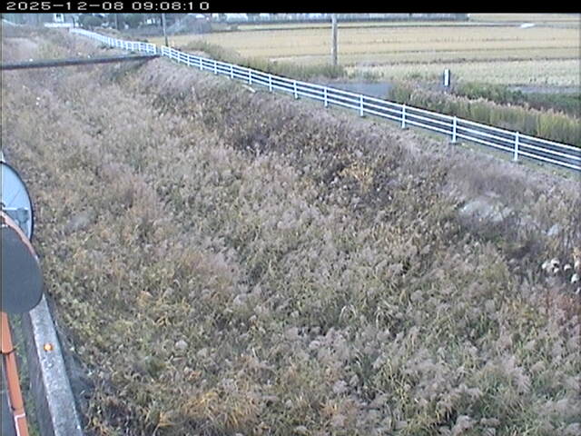 大路川６2025/12/08 11:30:00