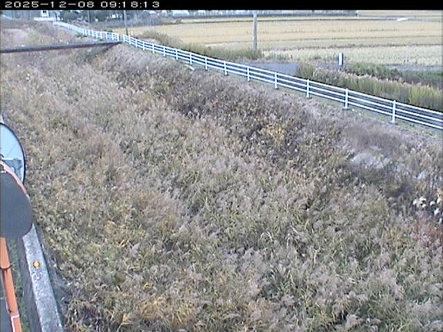 大路川６2025/12/08 11:30:00