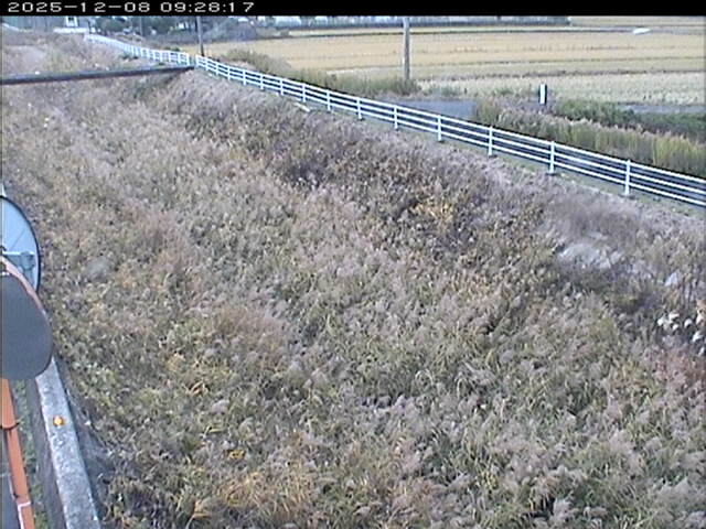 大路川６2025/12/08 11:30:00