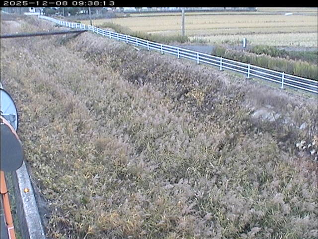 大路川６2025/12/08 11:30:00