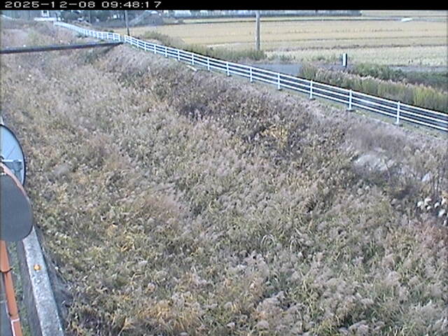 大路川６2025/12/08 11:30:00