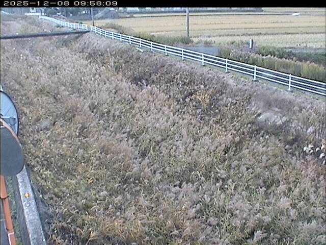 大路川６2025/12/08 11:30:00