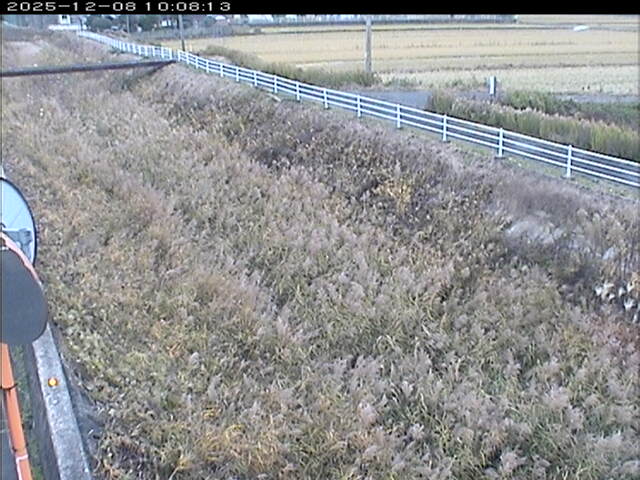 大路川６2025/12/08 11:30:00