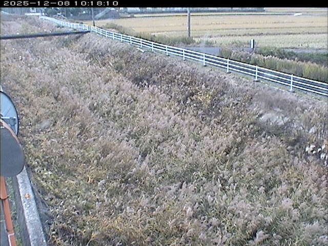 大路川６2025/12/08 11:30:00