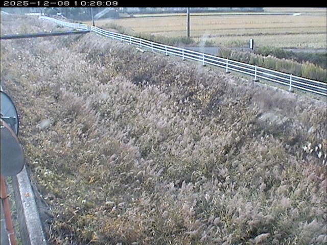 大路川６2025/12/08 11:30:00