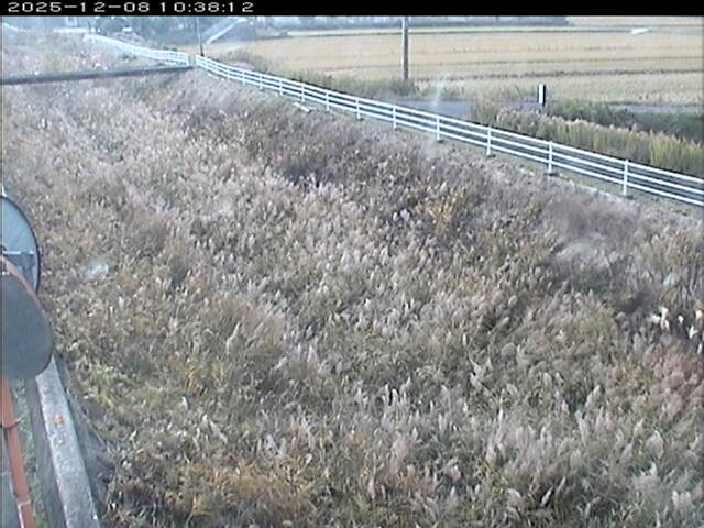 大路川６2025/12/08 11:30:00