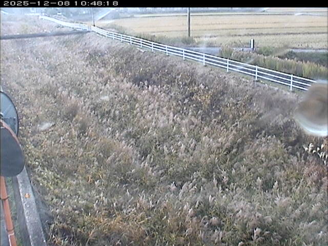 大路川６2025/12/08 11:30:00