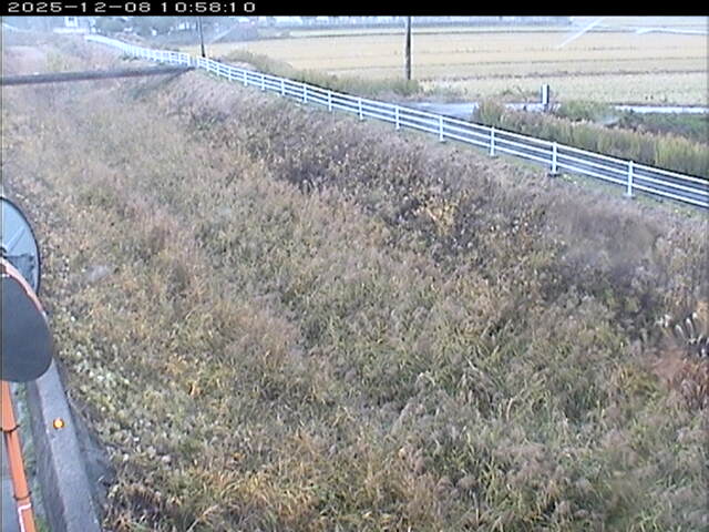 大路川６2025/12/08 11:30:00