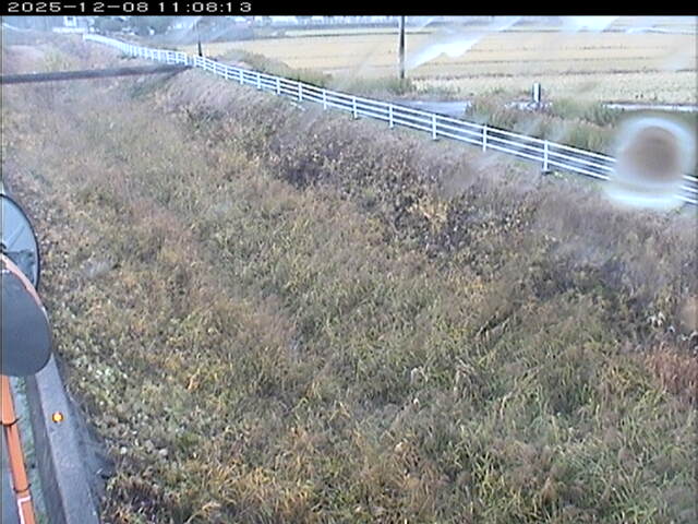 大路川６2025/12/08 11:30:00