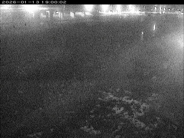 大路川３2026/01/14 19:00:00