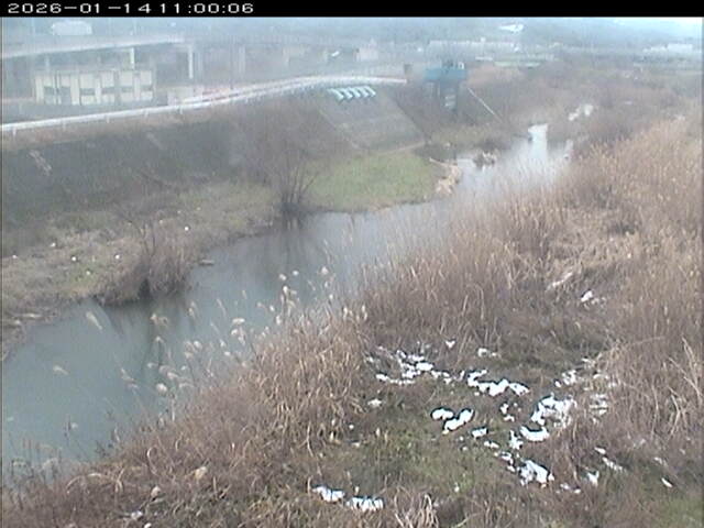 大路川３2026/01/14 19:00:00