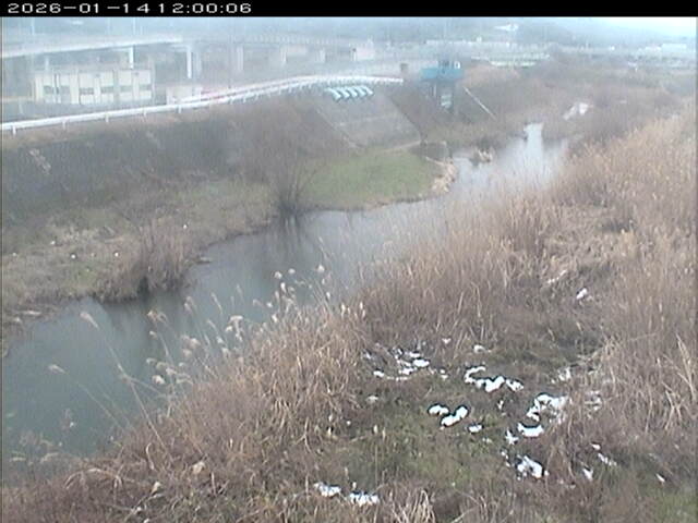 大路川３2026/01/14 19:00:00