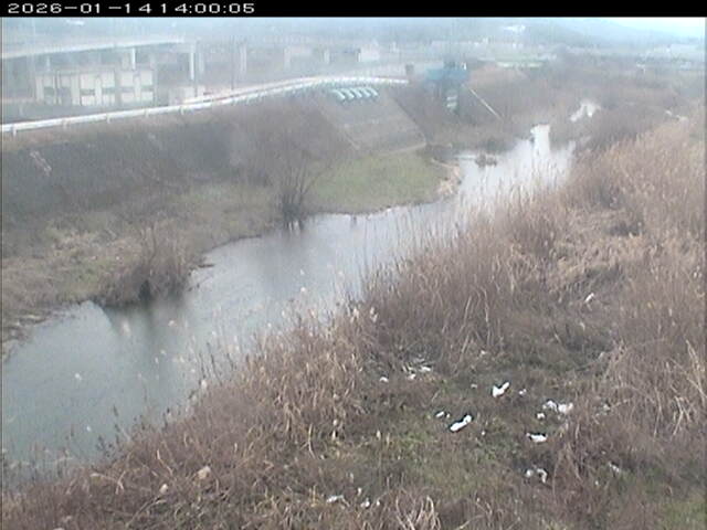 大路川３2026/01/14 19:00:00