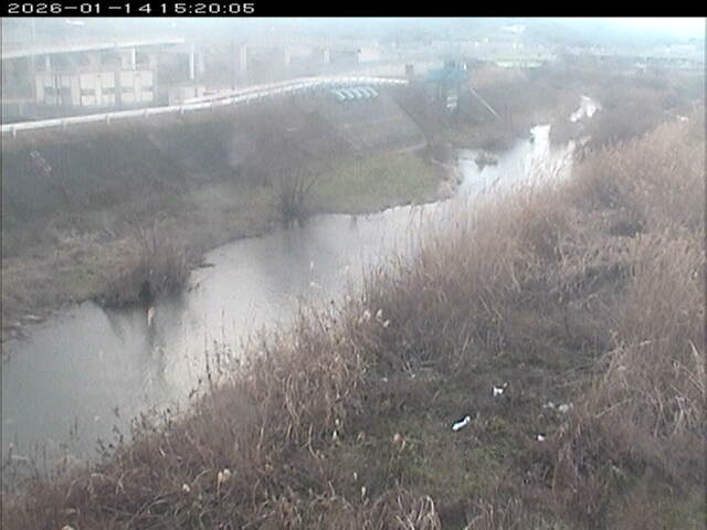 大路川３2026/01/14 19:00:00