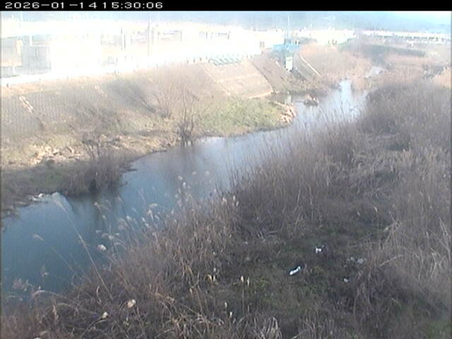 大路川３2026/01/14 19:00:00