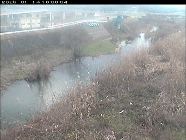 大路川３2026/01/14 19:00:00