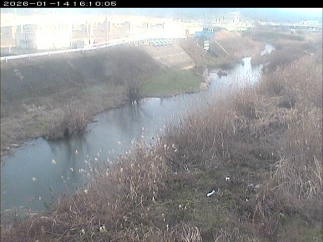 大路川３2026/01/14 19:00:00