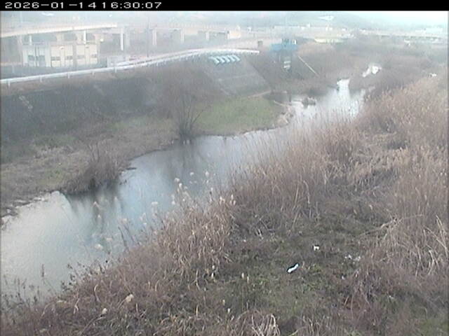 大路川３2026/01/14 19:00:00