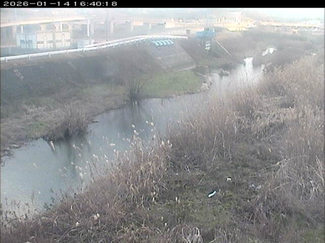 大路川３2026/01/14 19:00:00