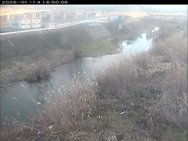 大路川３2026/01/14 19:00:00