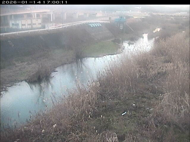 大路川３2026/01/14 19:00:00