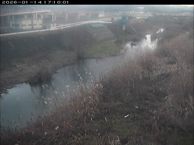 大路川３2026/01/14 19:00:00