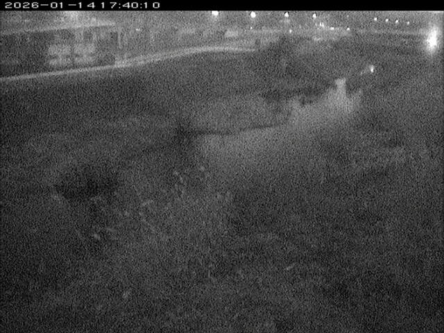 大路川３2026/01/14 19:00:00