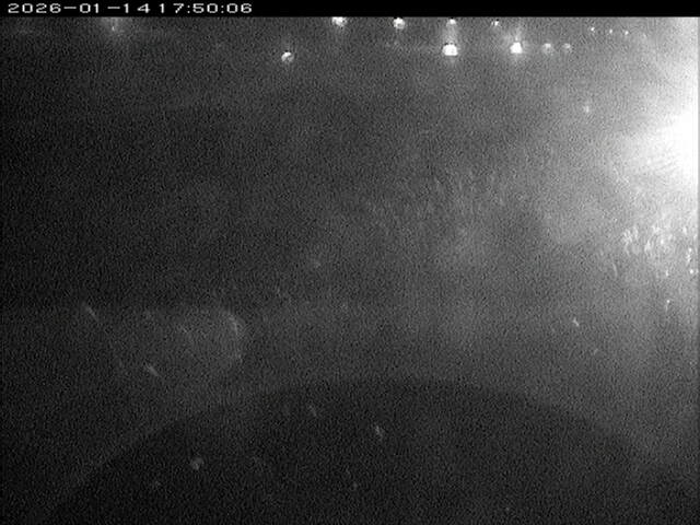 大路川３2026/01/14 19:00:00