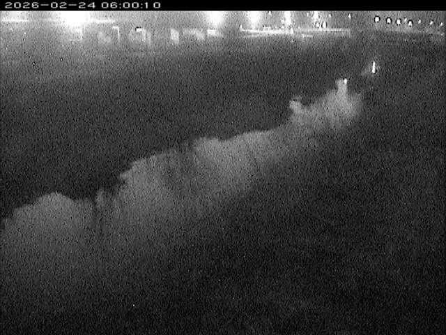 大路川３2026/02/25 2:30:00