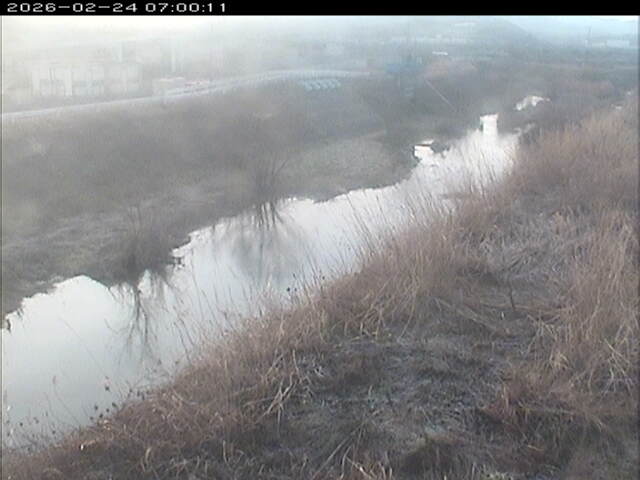 大路川３2026/02/25 2:30:00