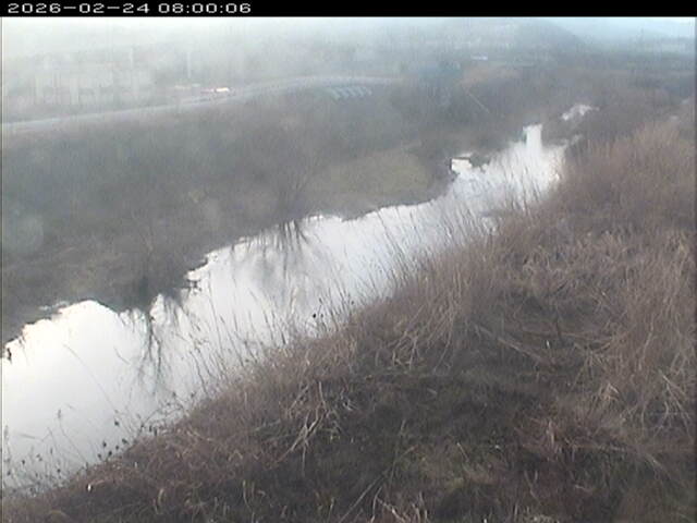 大路川３2026/02/25 2:30:00