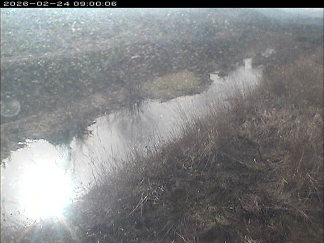 大路川３2026/02/25 2:30:00