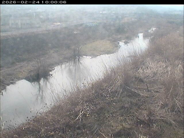 大路川３2026/02/25 2:30:00