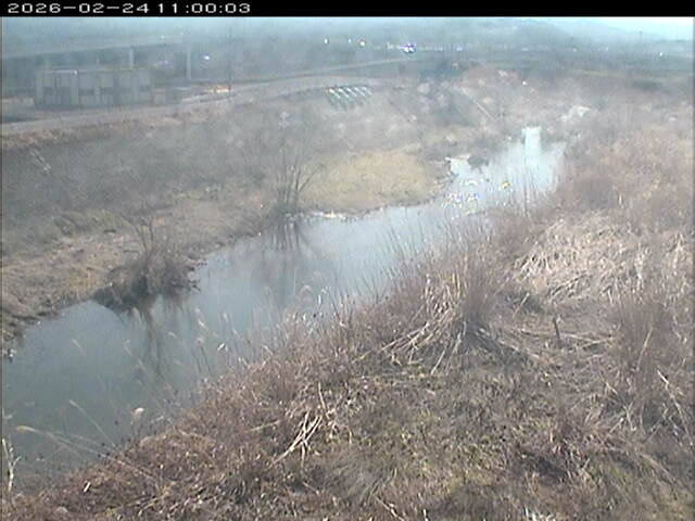 大路川３2026/02/25 2:30:00