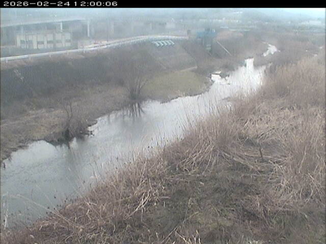 大路川３2026/02/25 2:30:00