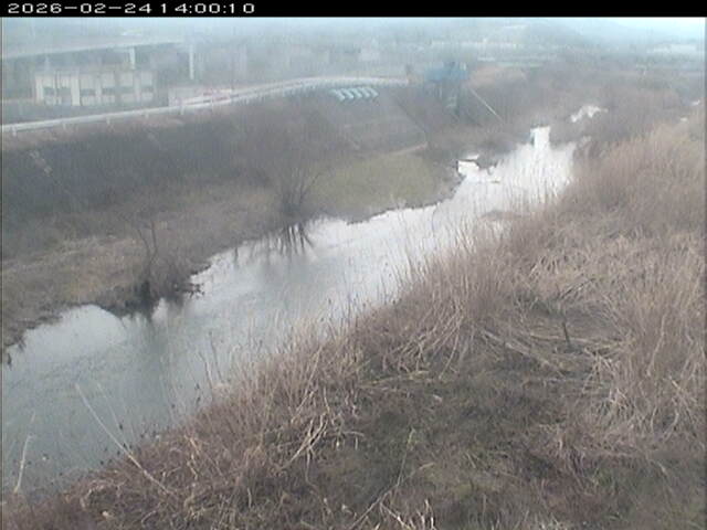 大路川３2026/02/25 2:30:00